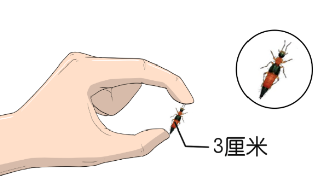 أ⼸ֳӣǧܻء